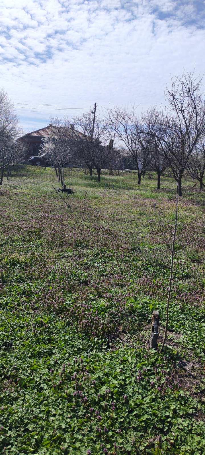 Продава Парцел област Стара Загора , с. Михайлово , 1300 кв.м | 94905094 — Imoti.com Продава Парцел област Стара Загора , с. Михайлово , 1300 кв.м | 94905094