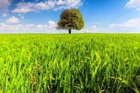 Продава Земеделска земя, с. Катуница