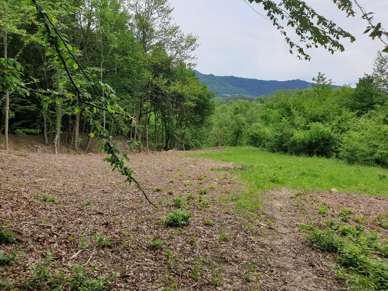 Продава Парцел област Ловеч , гр. Априлци , , 2200 кв.м | 69961248 — Imoti.com Продава Парцел област Ловеч , гр. Априлци , , 2200 кв.м | 69961248