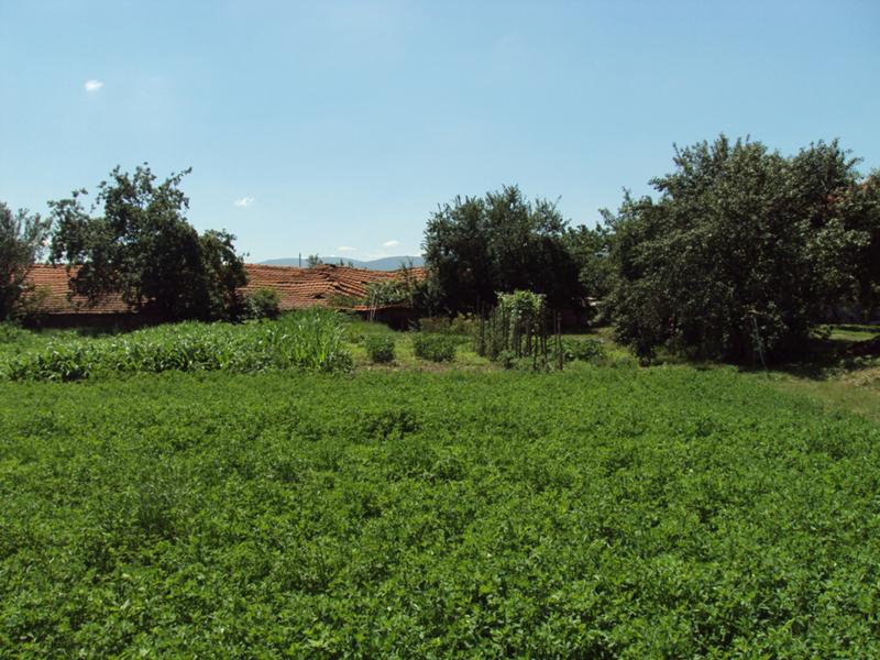 Продава Парцел област София , гр. Елин Пелин , 7150 кв.м | 63969044 — Imoti.com Продава Парцел област София , гр. Елин Пелин , 7150 кв.м | 63969044
