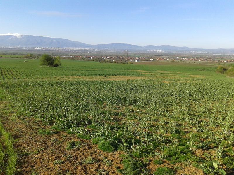 Продава Парцел град София , с. Доброславци , 1400 кв.м | 48102438 — Imoti.com Продава Парцел град София , с. Доброславци , 1400 кв.м | 48102438