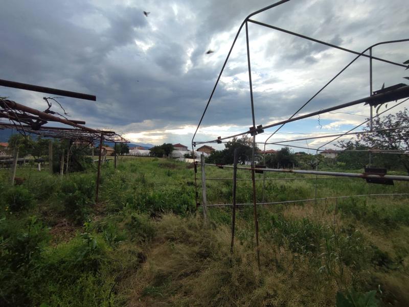 Продава Къща област Пазарджик , с. Лозен , 160 кв.м | 40997681 — Imoti.com Продава Къща област Пазарджик , с. Лозен , 160 кв.м | 40997681