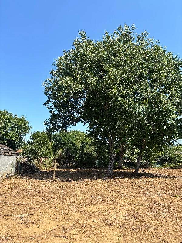 Продава Парцел област Перник , с. Долна Диканя , 1648 кв.м | 76394481 — Imoti.com Продава Парцел област Перник , с. Долна Диканя , 1648 кв.м | 76394481