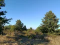 Продава Земеделска земя област Варна , с. Равна гора , 1033 дка | 45182760 — Imoti.com Продава Земеделска земя област Варна , с. Равна гора , 1033 дка | 45182760