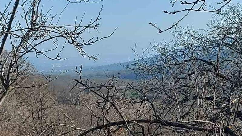 Продава Парцел област Варна , с. Осеново , 733 кв.м | 13054748 — Imoti.com Продава Парцел област Варна , с. Осеново , 733 кв.м | 13054748