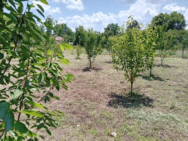 Продава Парцел област Варна , с. Горен чифлик , 820 кв.м | 74687514 — Imoti.com Продава Парцел област Варна , с. Горен чифлик , 820 кв.м | 74687514