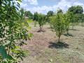 Продава Парцел област Варна , с. Горен чифлик , 820 кв.м | 74687514 — Imoti.com Продава Парцел област Варна , с. Горен чифлик , 820 кв.м | 74687514