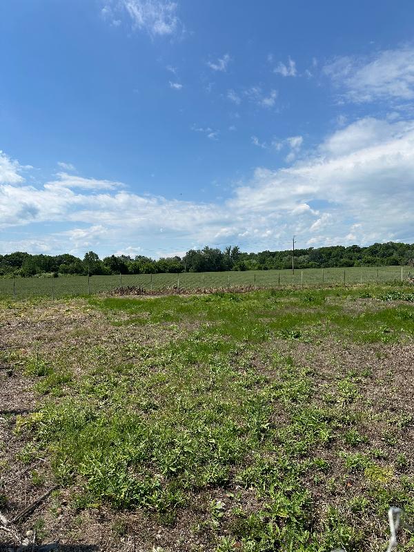 Продава Парцел област Ямбол , гр. Елхово , 983 кв.м | 99050986 — Imoti.com Продава Парцел област Ямбол , гр. Елхово , 983 кв.м | 99050986