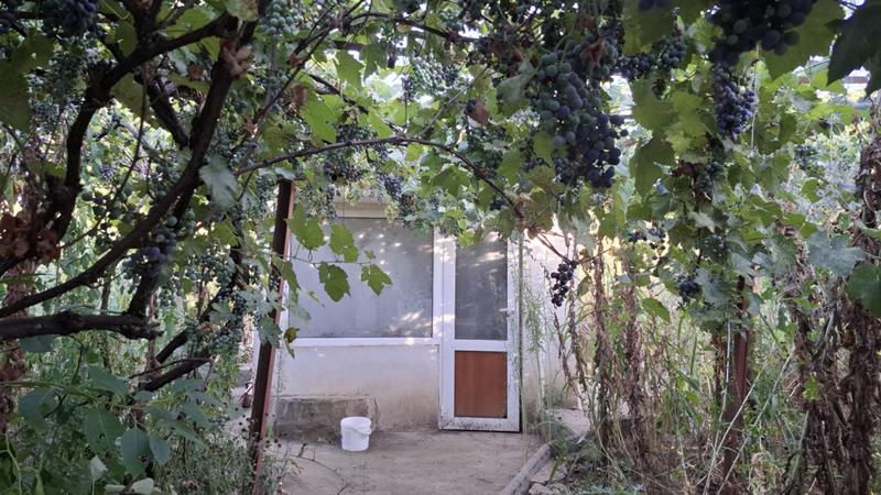 Продава Къща област Велико Търново , с. Янтра , 100 кв.м | 78159946 — Imoti.com Продава Къща област Велико Търново , с. Янтра , 100 кв.м | 78159946