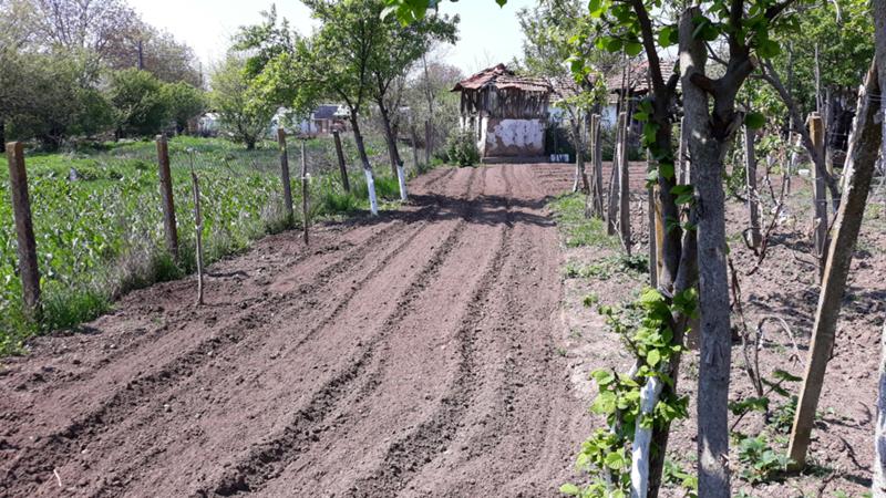 Продава 1-стаен област Видин , с. Тополовец (Ружинци) , 72 кв.м | 85857611 — Imoti.com Продава 1-стаен област Видин , с. Тополовец (Ружинци) , 72 кв.м | 85857611
