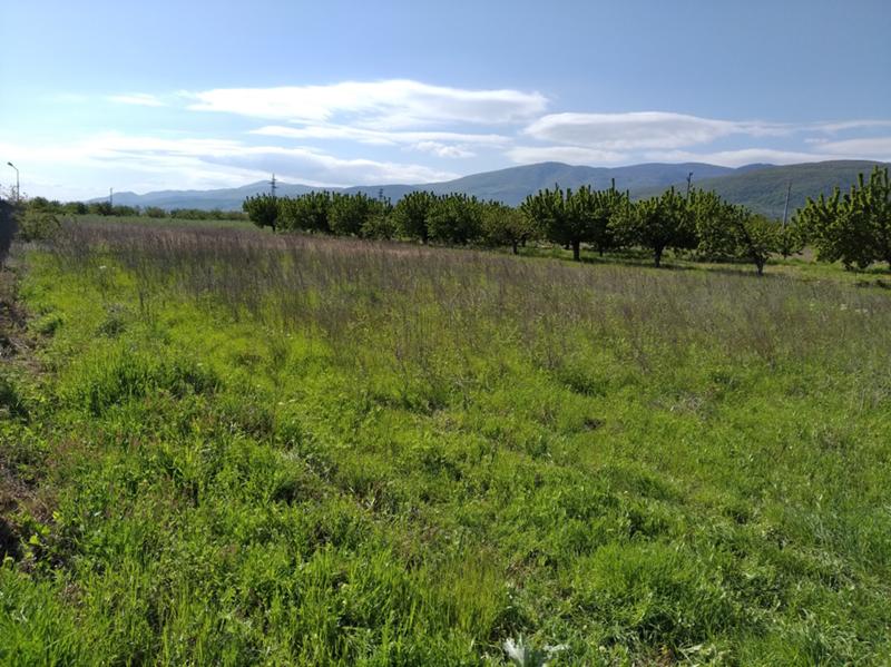 Продава Парцел област Пловдив , с. Белащица , Бозалъка, 621 кв.м | 53538720 — Imoti.com Продава Парцел област Пловдив , с. Белащица , Бозалъка, 621 кв.м | 53538720