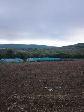 Продава Парцел, с. Осеново
