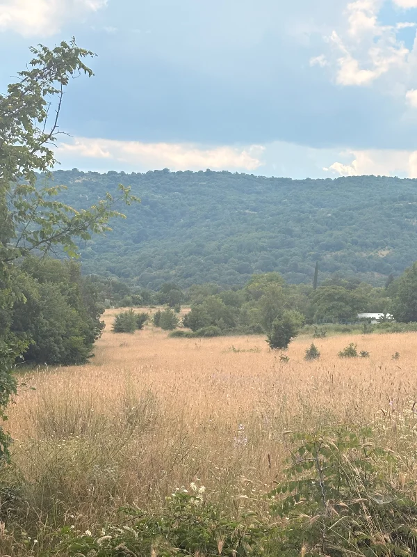 Продава Парцел област Стара Загора , с. Колена , 600 кв.м | 24694479 — Imoti.com Продава Парцел област Стара Загора , с. Колена , 600 кв.м | 24694479