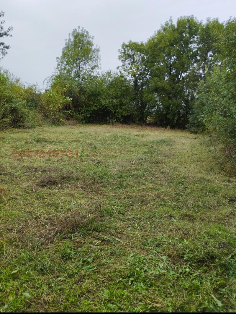 Продава 1-стаен област Монтана , с. Горна Вереница , 750 кв.м | 97829190 — Imoti.com Продава 1-стаен област Монтана , с. Горна Вереница , 750 кв.м | 97829190