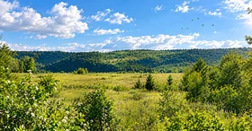 Продава Парцел, с. Русаля