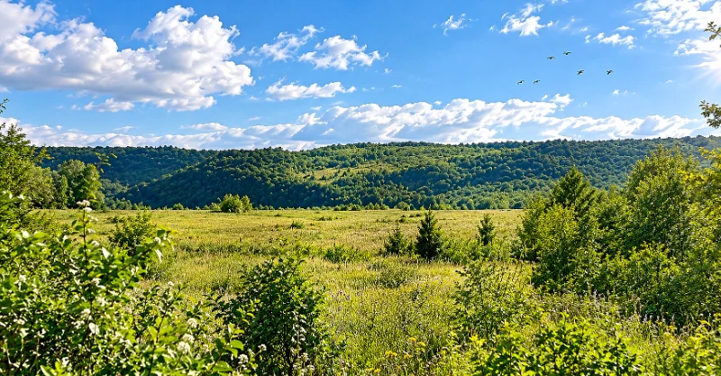 Продава Парцел област Велико Търново , с. Русаля , 900 кв.м | 58327846 — Imoti.com Продава Парцел област Велико Търново , с. Русаля , 900 кв.м | 58327846