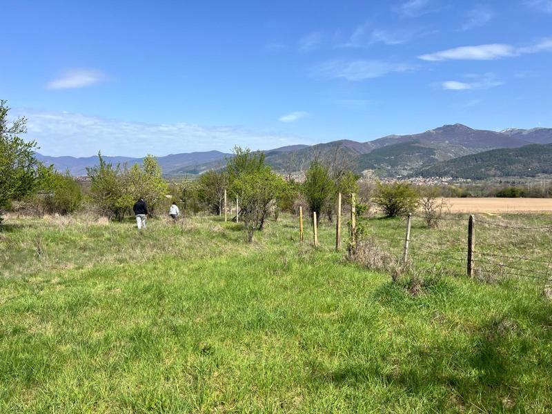 Продава Парцел област Стара Загора , с. Енина , 1200 кв.м | 57332075 — Imoti.com Продава Парцел област Стара Загора , с. Енина , 1200 кв.м | 57332075