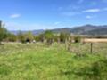 Продава Парцел област Стара Загора , с. Енина , 1200 кв.м | 57332075 — Imoti.com Продава Парцел област Стара Загора , с. Енина , 1200 кв.м | 57332075