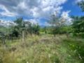 Продава  Парцел област Стара Загора , гр. Казанлък , Старите Лозя, Тюлбе Енина, 500 кв.м | 37802149 - изображение [7]