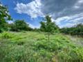 Продава  Парцел област Стара Загора , гр. Казанлък , Старите Лозя, Тюлбе Енина, 500 кв.м | 37802149 - изображение [3]