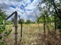 Продава  Парцел област Стара Загора , гр. Казанлък , Старите Лозя, Тюлбе Енина, 500 кв.м | 37802149 - изображение [8]