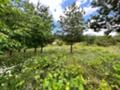 Продава  Парцел област Стара Загора , гр. Казанлък , Старите Лозя, Тюлбе Енина, 500 кв.м | 37802149 - изображение [4]
