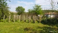 Продава  Къща област Плевен , с. Ленково , 150 кв.м | 83857087 - изображение [7]