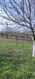 Продава  Парцел област Стара Загора , с. Михайлово , 1300 кв.м | 94905094 - изображение [6]
