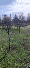Продава  Парцел област Стара Загора , с. Михайлово , 1300 кв.м | 94905094 - изображение [2]