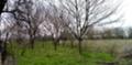 Продава  Къща област Варна , с. Метличина , 1257 кв.м | 54615612 - изображение [3]