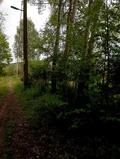 Продава  Парцел област Перник , с. Ноевци , 600 кв.м | 70704311 - изображение [3]