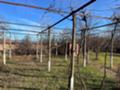 Продава  Къща област Стара Загора , с. Горно Сахране , 0 кв.м | 85607189 - изображение [3]