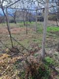 Продава  1-стаен област Пазарджик , с. Величково , център, 104 кв.м | 35571631 - изображение [7]