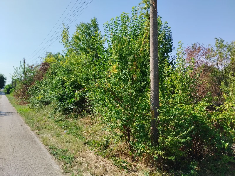 Продава  Парцел област Велико Търново , с. Батак , 1540 кв.м | 50869222
