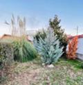 Продава  Къща област Пловдив , с. Куртово Конаре , 170 кв.м | 66054477 - изображение [6]
