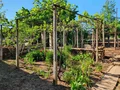 Продава  Къща област Велико Търново , гр. Долна Оряховица , 117 кв.м | 27919678 - изображение [8]