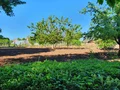 Продава  Къща област Велико Търново , гр. Долна Оряховица , 117 кв.м | 27919678 - изображение [10]
