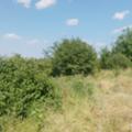 Продава  Парцел област Велико Търново , с. Шереметя , 1220 кв.м | 50099878 - изображение [4]