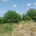 Продава  Парцел област Велико Търново , с. Шереметя , 1220 кв.м | 50099878 - изображение [2]