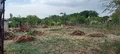 Продава  Къща област Варна , гр. Суворово , 203 кв.м | 84680289 - изображение [4]