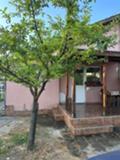 Продава  Къща област София , гр. Костинброд , Била парк , 65 кв.м | 24193133 - изображение [9]