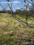 Продава  Парцел област Ямбол , с. Веселиново , 1450 кв.м | 40291180 - изображение [3]
