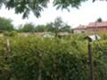 Продава  Къща област Плевен , с. Бреница , 120 кв.м | 89554842 - изображение [3]