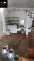 Продава  Пром. помещение област Велико Търново , с. Балканци , 426 кв.м | 98641042 - изображение [15]