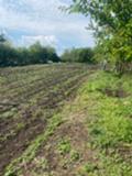 Продава  Къща област Добрич , с. Вратарите , 60 кв.м | 65147604 - изображение [6]