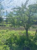 Продава  Къща област Добрич , с. Вратарите , 60 кв.м | 65147604 - изображение [8]