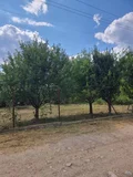 Продава  Парцел област Кюстендил , с. Крайници , 720 кв.м | 48142990 - изображение [3]