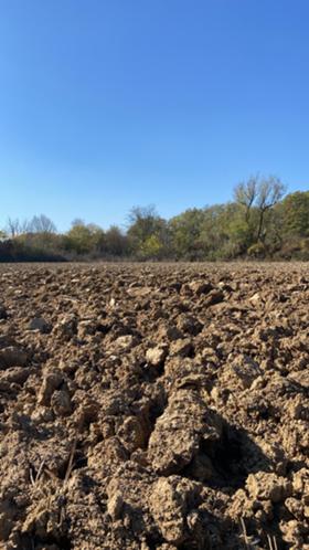 Продава  Земеделска земя, гр. Провадия