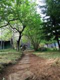 Продава  Парцел област София , с. Горни Окол , в.з. Щъркелово гнездо, 530 кв.м | 84045294 - изображение [5]