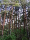Продава  Парцел област София , с. Горни Окол , в.з. Щъркелово гнездо, 530 кв.м | 84045294 - изображение [14]
